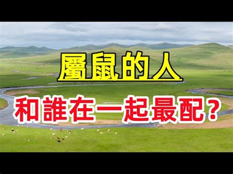 鼠羊相害化解|【鼠羊相害化解】鼠羊相害，愛情不睦？化解之道大公開！